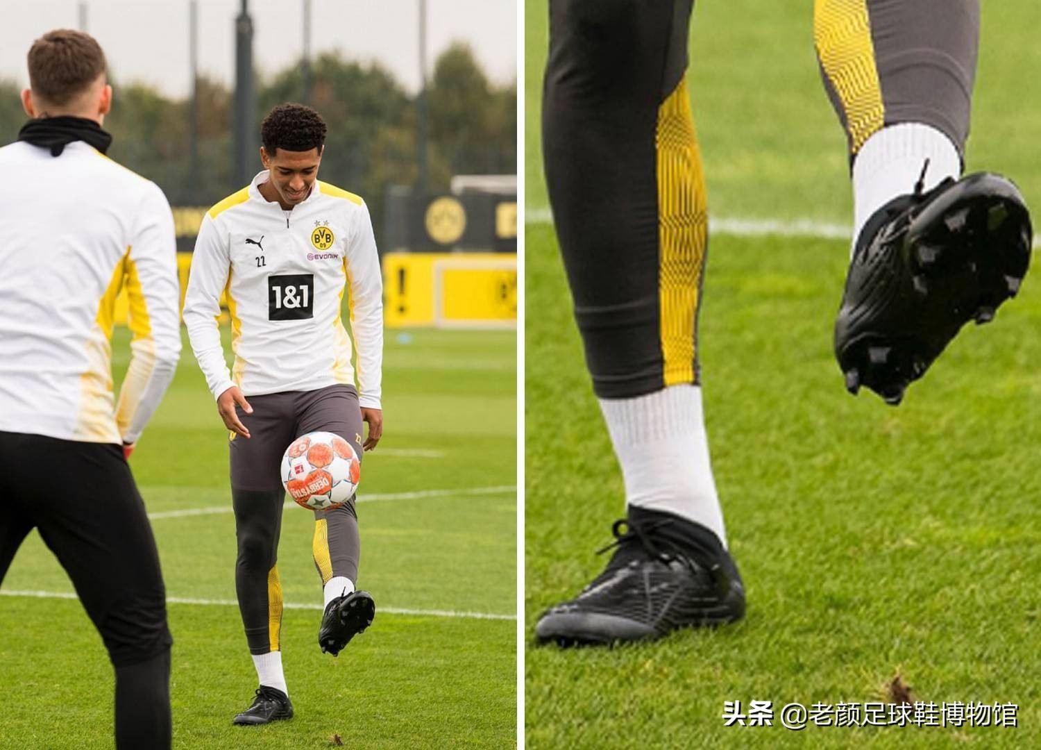 首发似乎意 首发似乎意