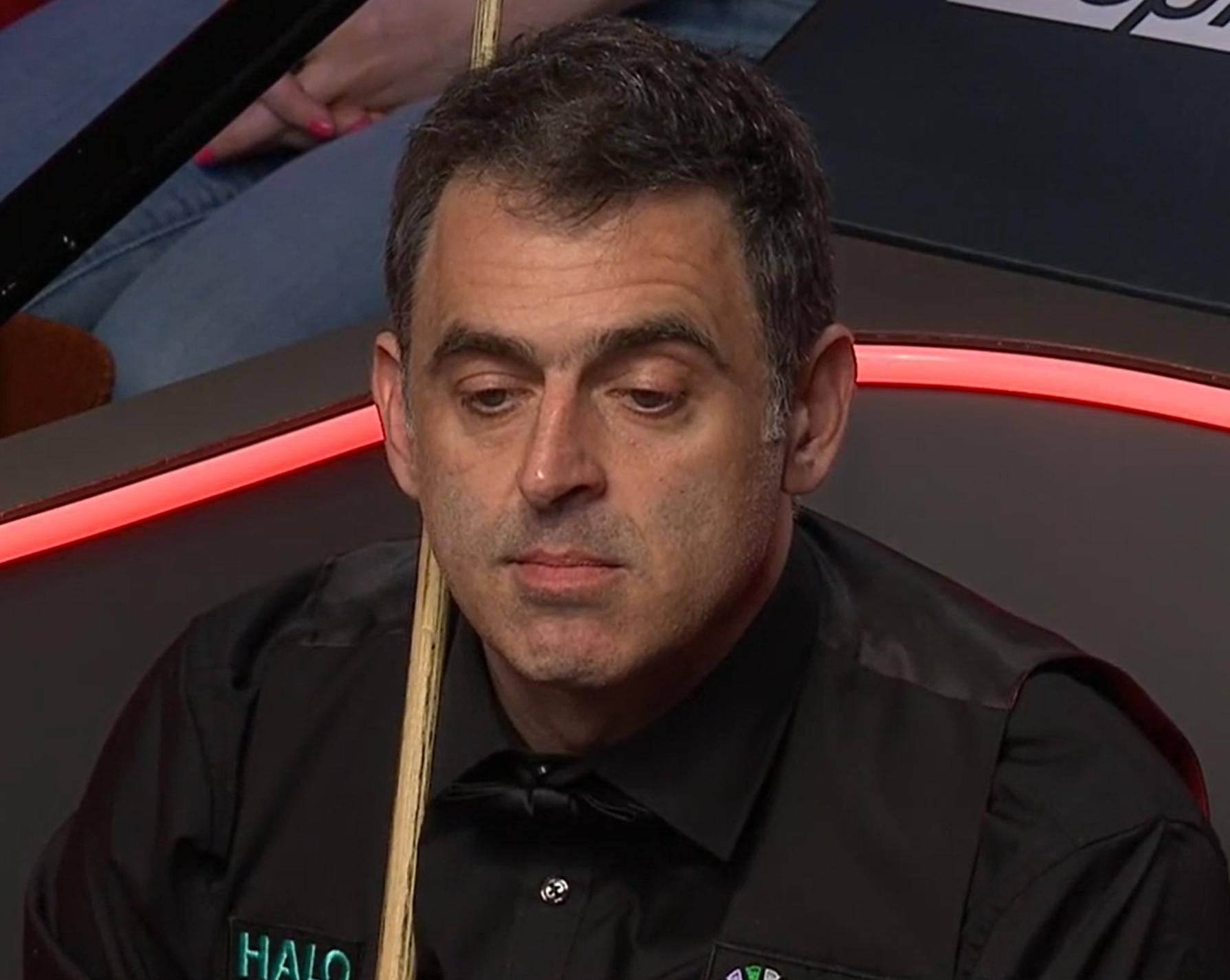 这一立场的 这一立场的